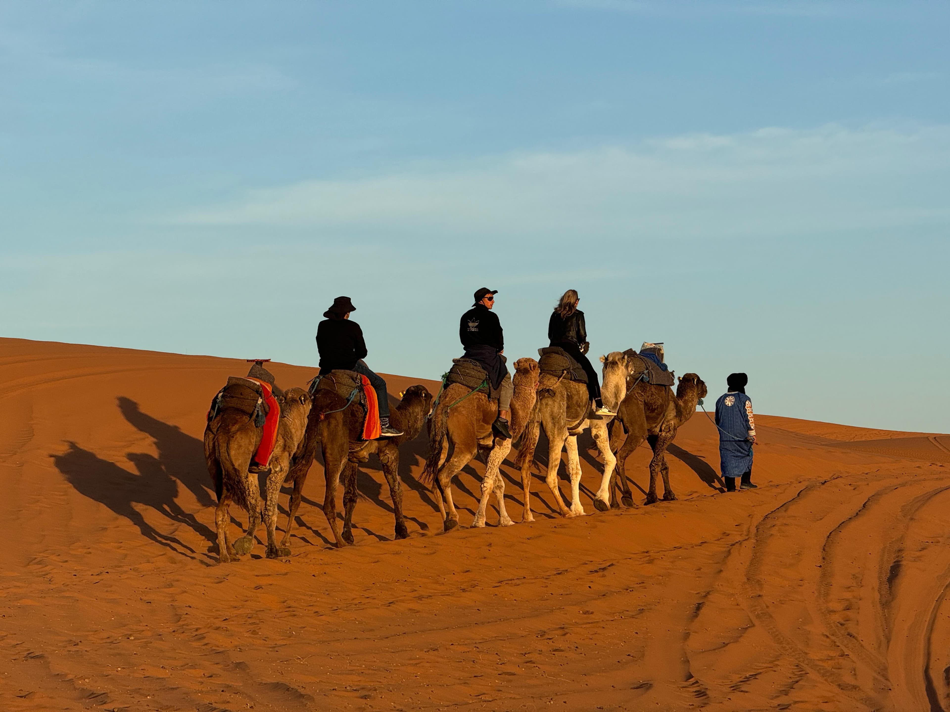 Survivre au désert du Sahara : conseils pratiques