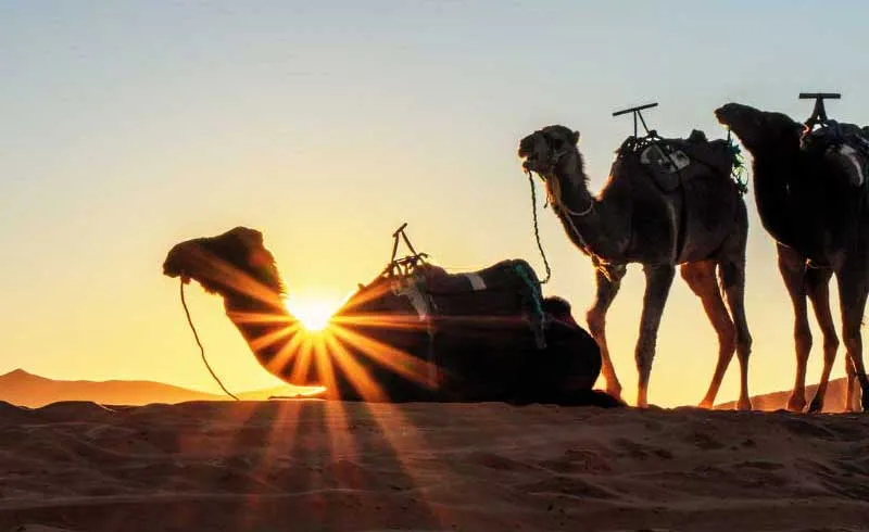 Le circuit Sud marocain en 4 jours - 4
